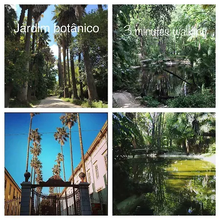 アパート Al Belem 85 *